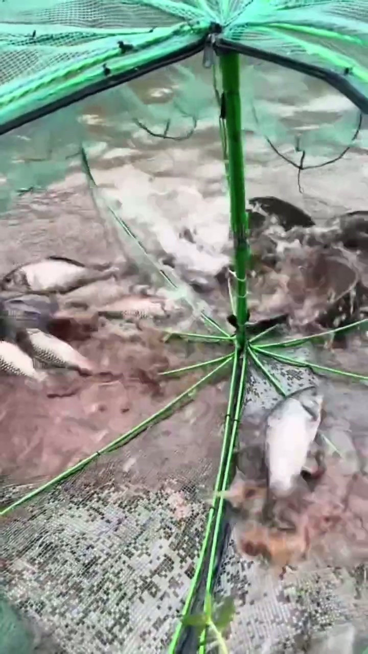 毅娃户外正在直播